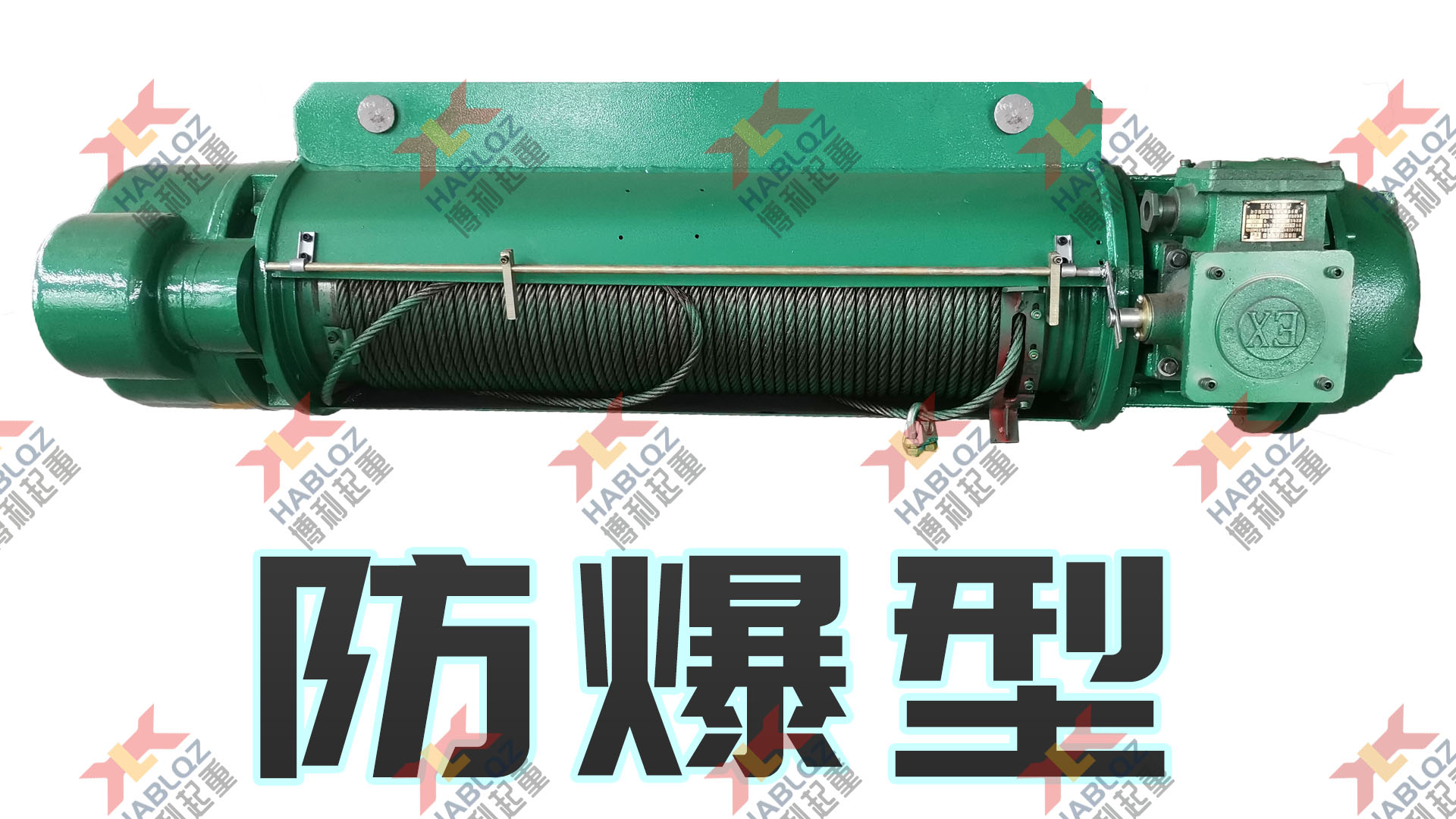 BCD/BMD型防爆電動(dòng)葫蘆