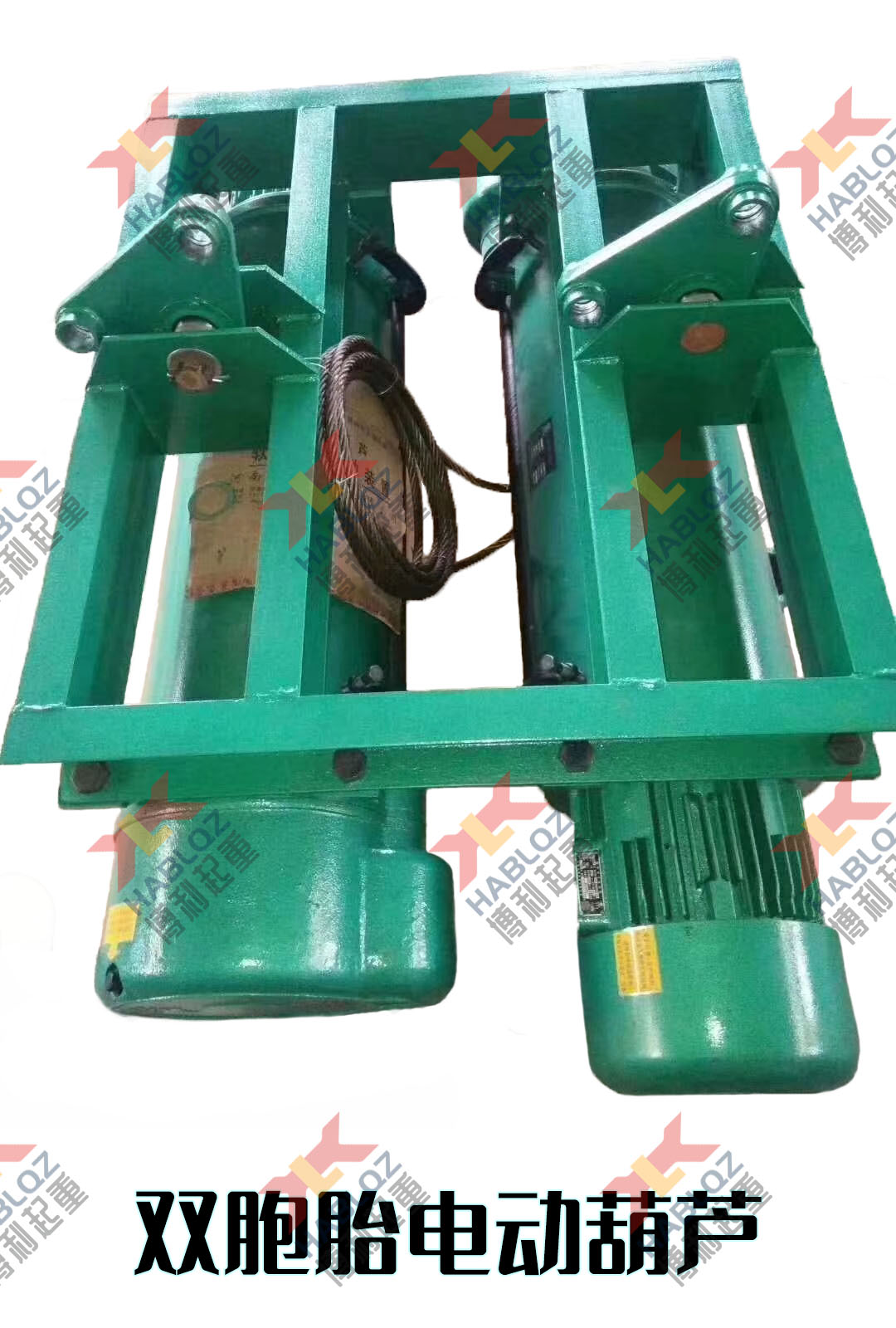 雙胞胎電動(dòng)葫蘆